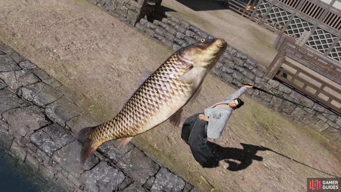 Catch fish - any fish will do,