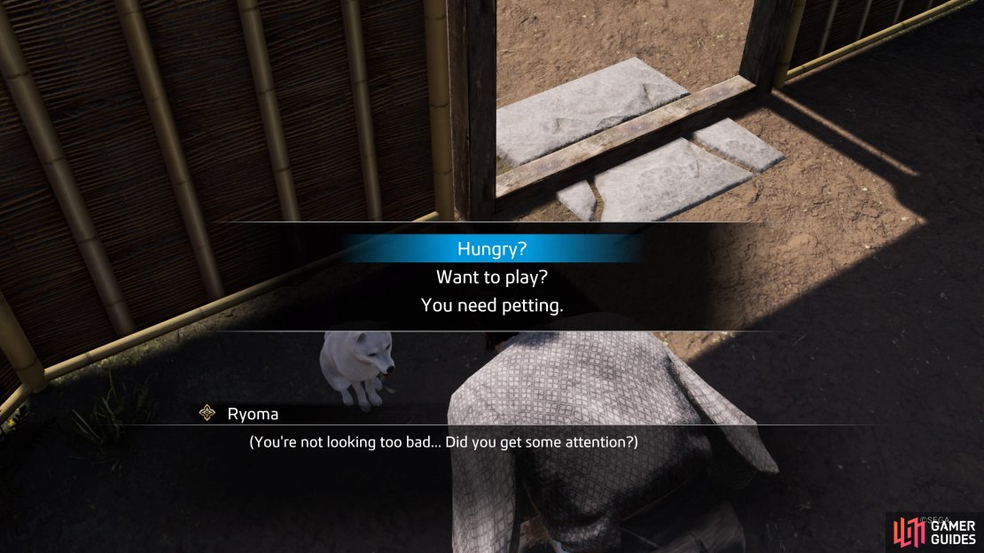 You have the option to interact with your pets at your second home