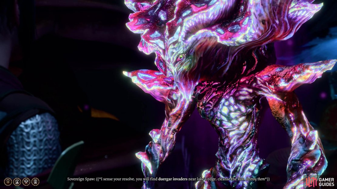 Meet with the myconid leader, Sovereign Spaw,