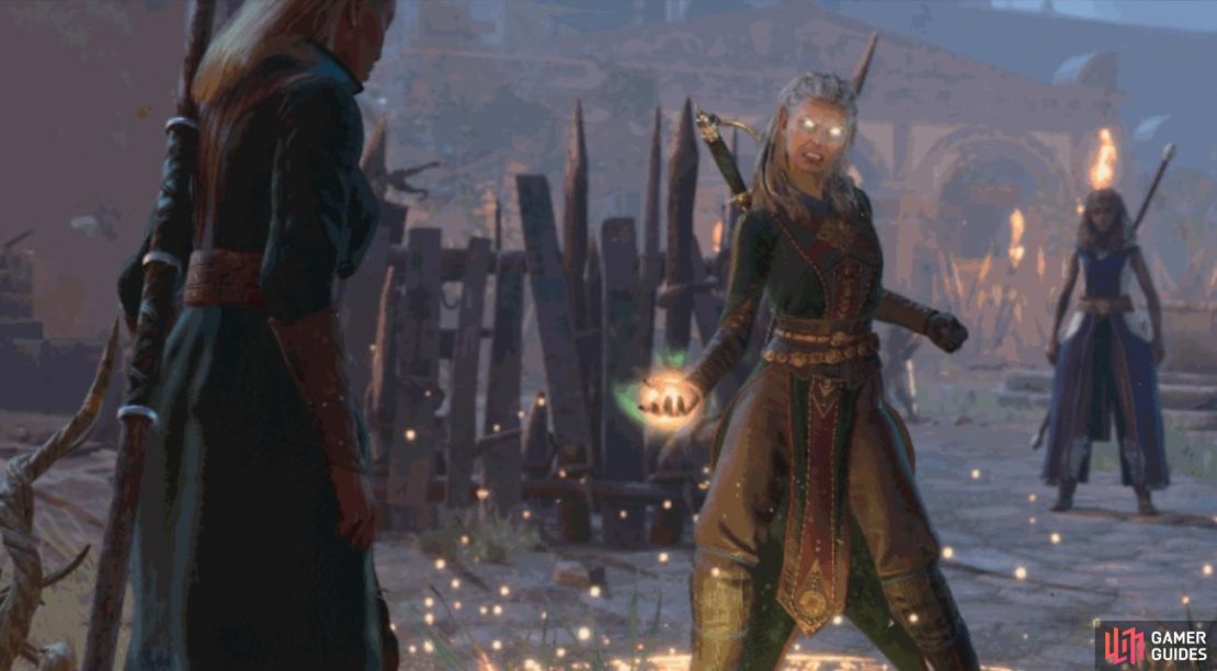 Jaheira is confirmed to be a companion, yet we don&rsquo;t know much about her or how to recruit her. Image via Larian.