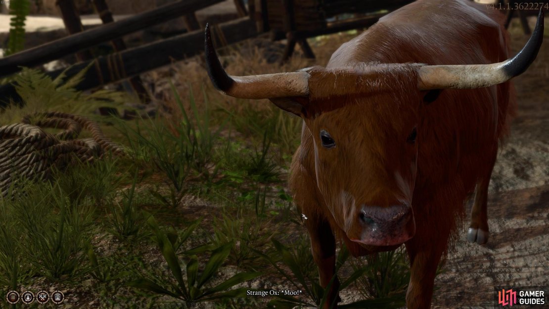 There&rsquo;s something strange going on with this Ox&hellip;we&rsquo;ll tell you how to uncover his secrets!
