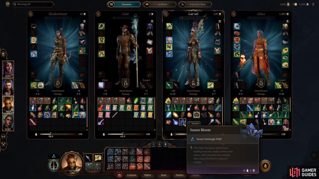 Only Equip the Sussur Bloom on a class that doesn&rsquo;t use magic.
