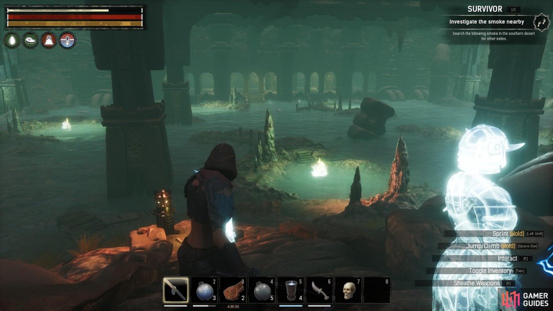 The first room is filled with Komodo Dragons and has three chests.