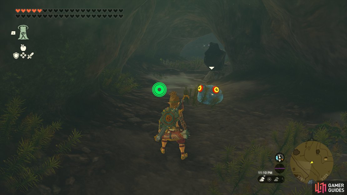 Find a Chuchu in the Hateno Village Well.