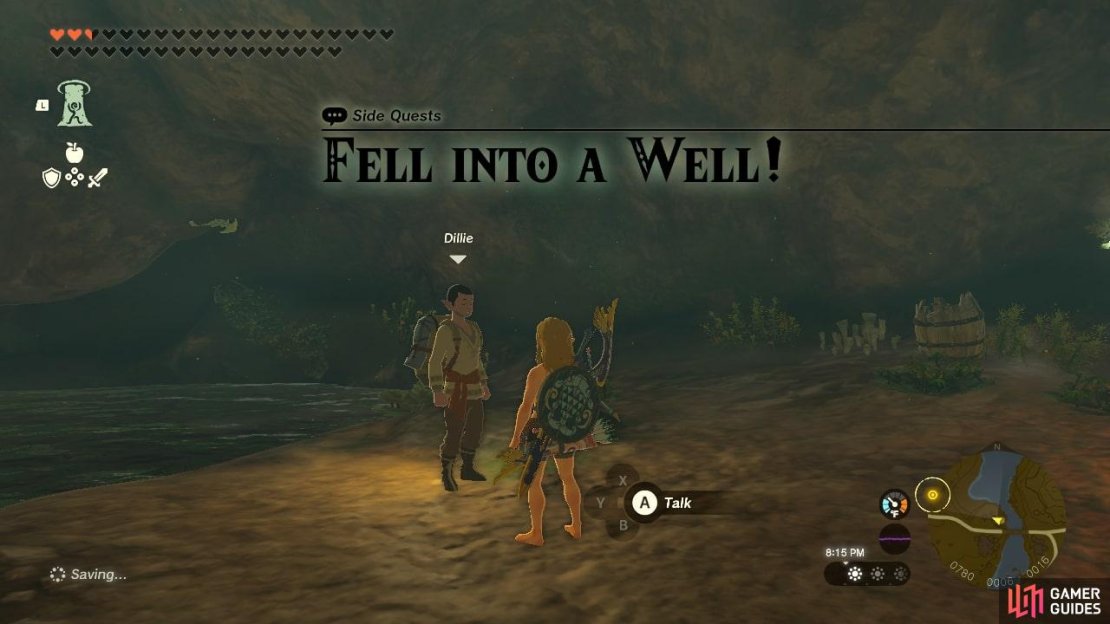 Dillie has fallen into a well and needs Link&rsquo;s help to get out of it.