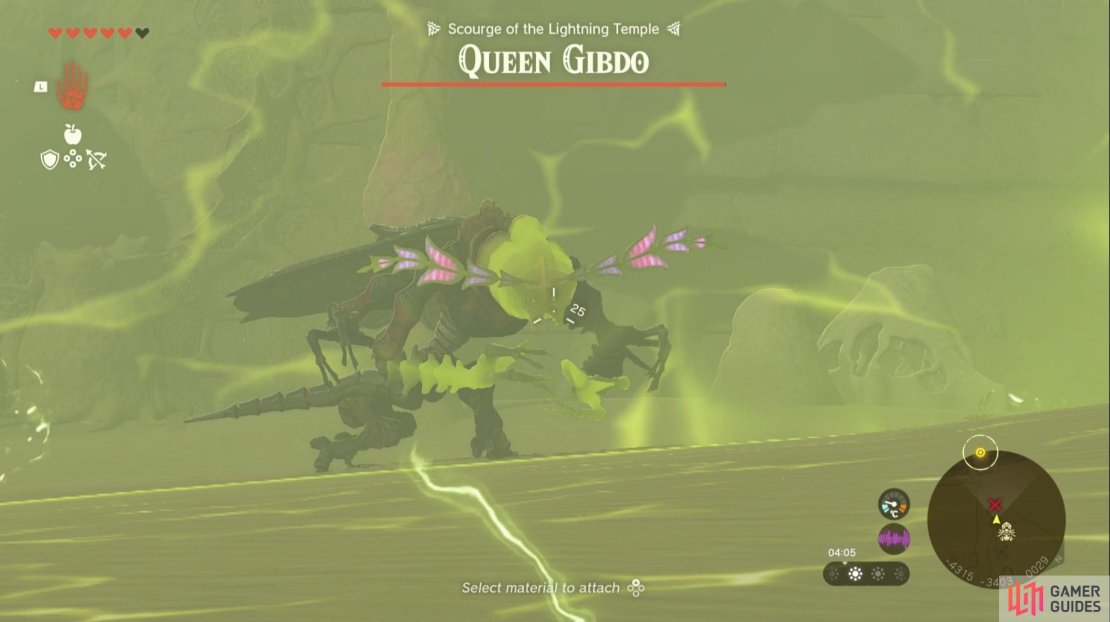 Shoot the !Queen Gibdo whilst she&rsquo;s in the lightning field. 