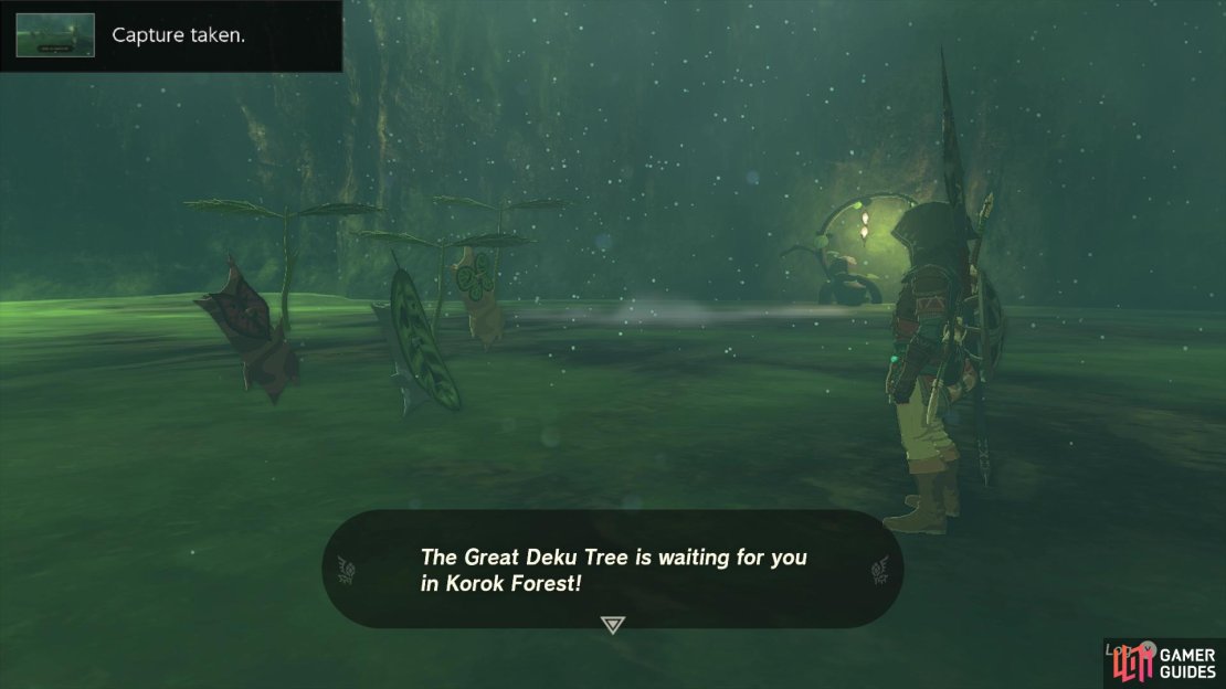 To obtain information about the Master Sword, you&rsquo;ll need to save the Great Deku Tree first!