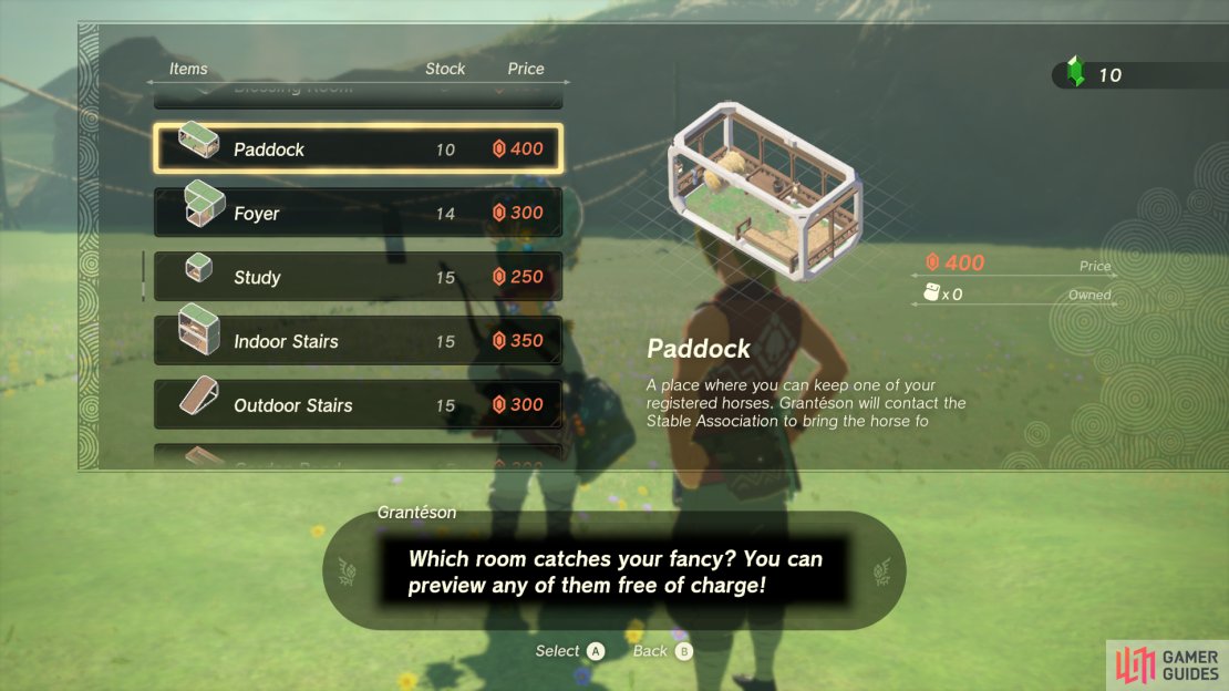 Buying rooms for Link&rsquo;s house in Tears of The Kingdom.