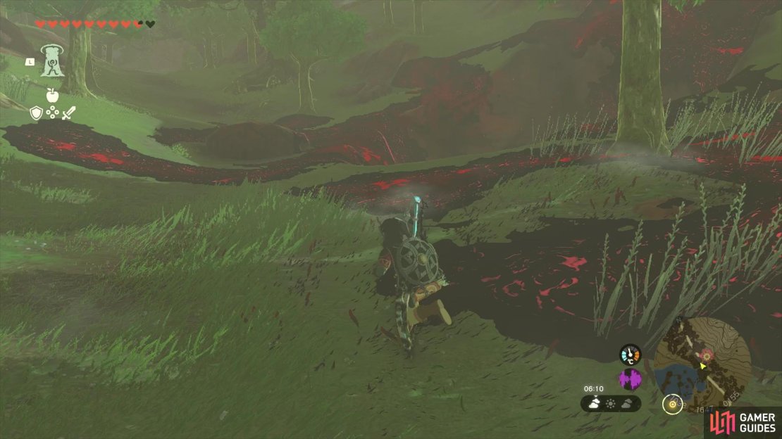 Locate the Chasm along the path to the !Lost Woods
