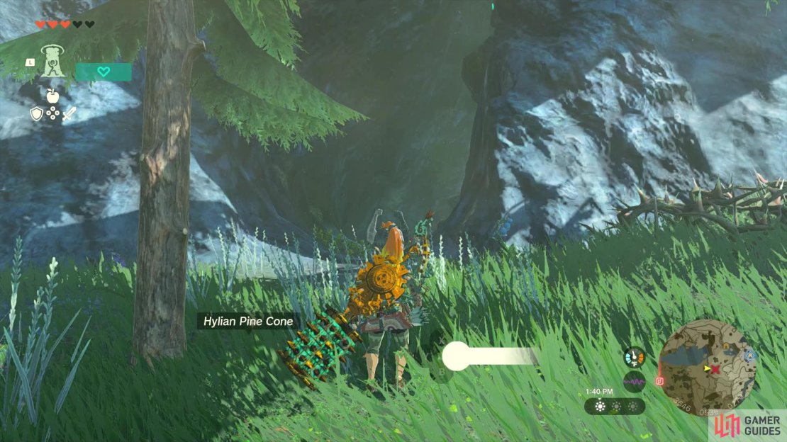 The entrance to the cave is kind of hard to see, due to some trees in the way