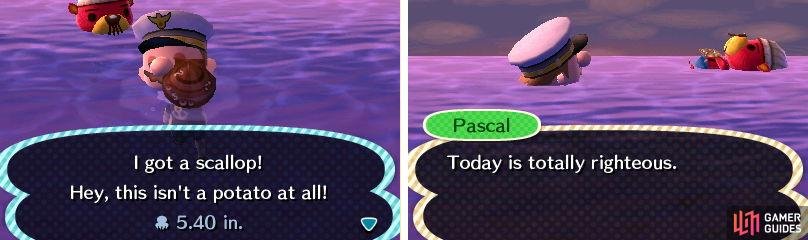 Pascal&rsquo;s a chill kind of fella.