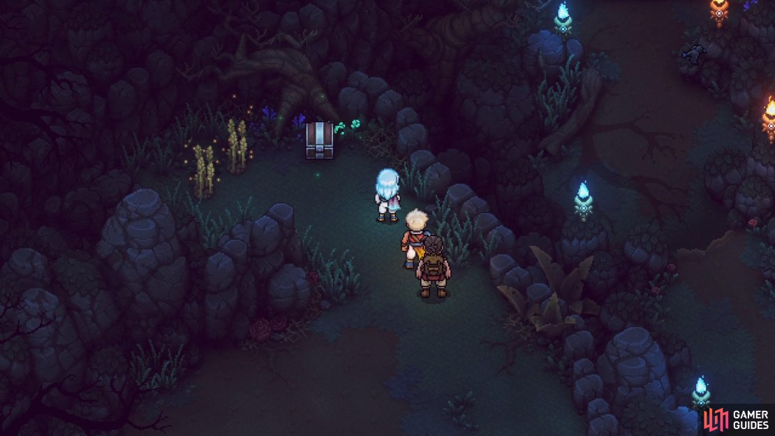 There is a chest north of the first set of enemies in the final section, on the western side.