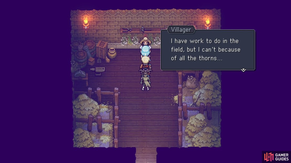 This NPC wants you to clear the field of the thorns.