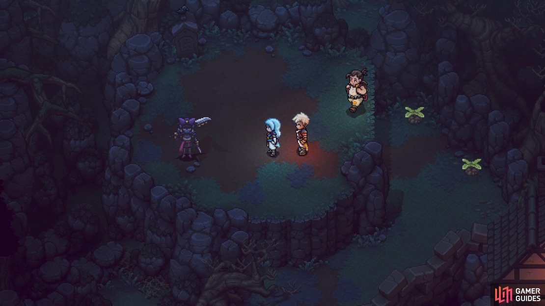 Give the Turbo Cookie to the NPC in the northwestern corner.