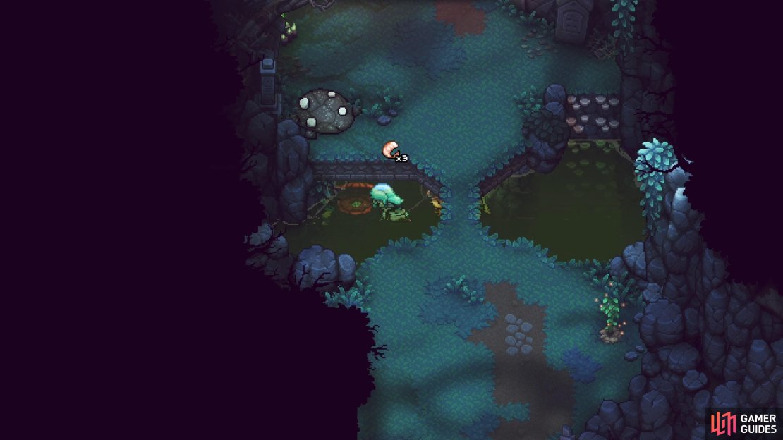 The clam under the water will yield some Seafood ingredients.