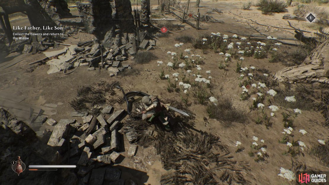You need to collect some white flowers and return them to the widow to earn her trust.