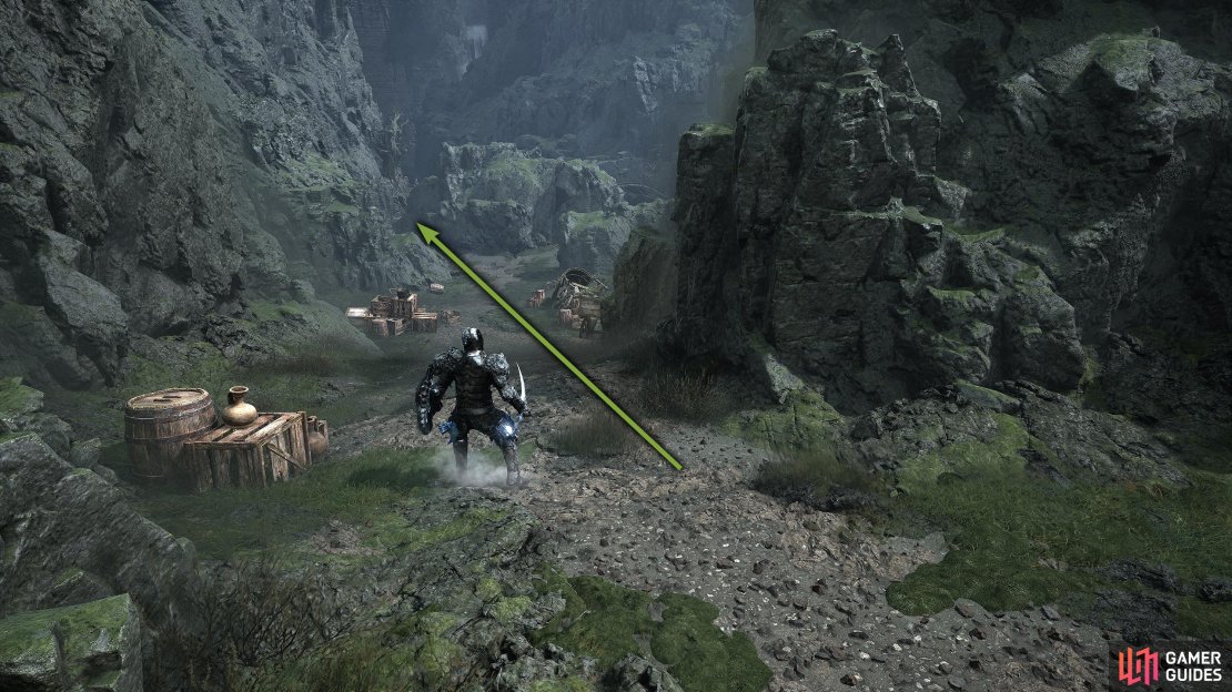 From the Shrine of Adyr, make your way back to the Ruiner Boss bridge.