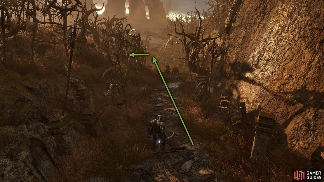 From the Dieter Vestige, follow the narrow path down until you reach a large hill with numerous enemies.
