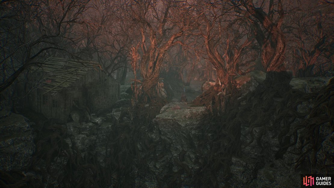 Here is a progression route and Lords of the Fallen Walkthrough in full, detailing all major locations, objectives, route hints, tips and everything else you need to know for a spoiler-free journey of the entire game&rsquo;s main storyline.