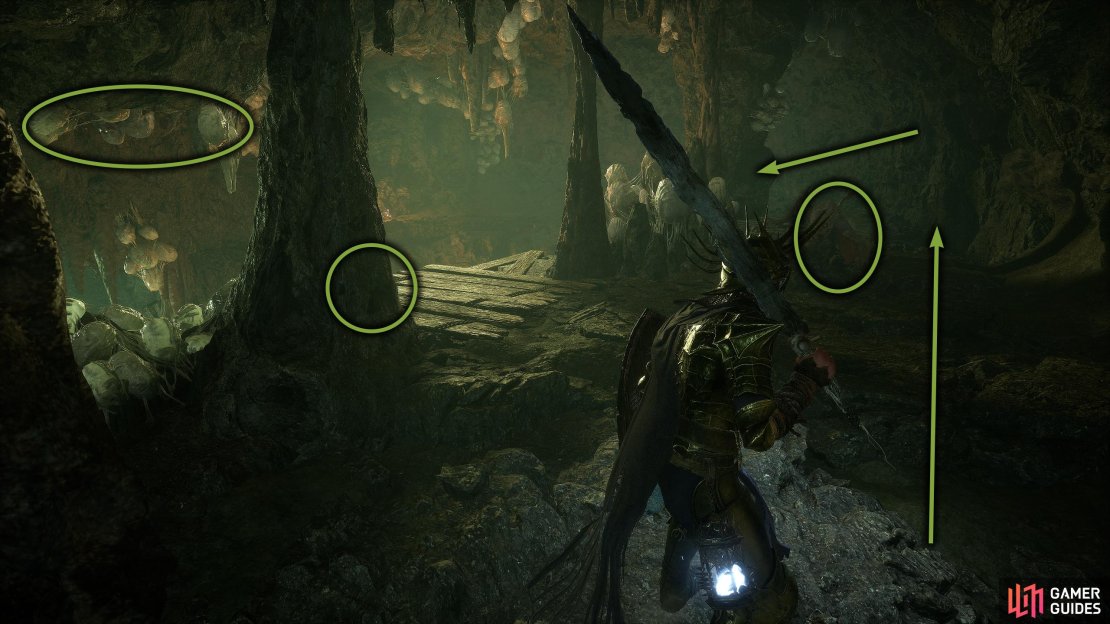 At the end of the tunnel you&rsquo;ll be in a room with a green hue. Here, you&rsquo;ll find four imp-like creatures. These are marked with the ellipses in the image. 