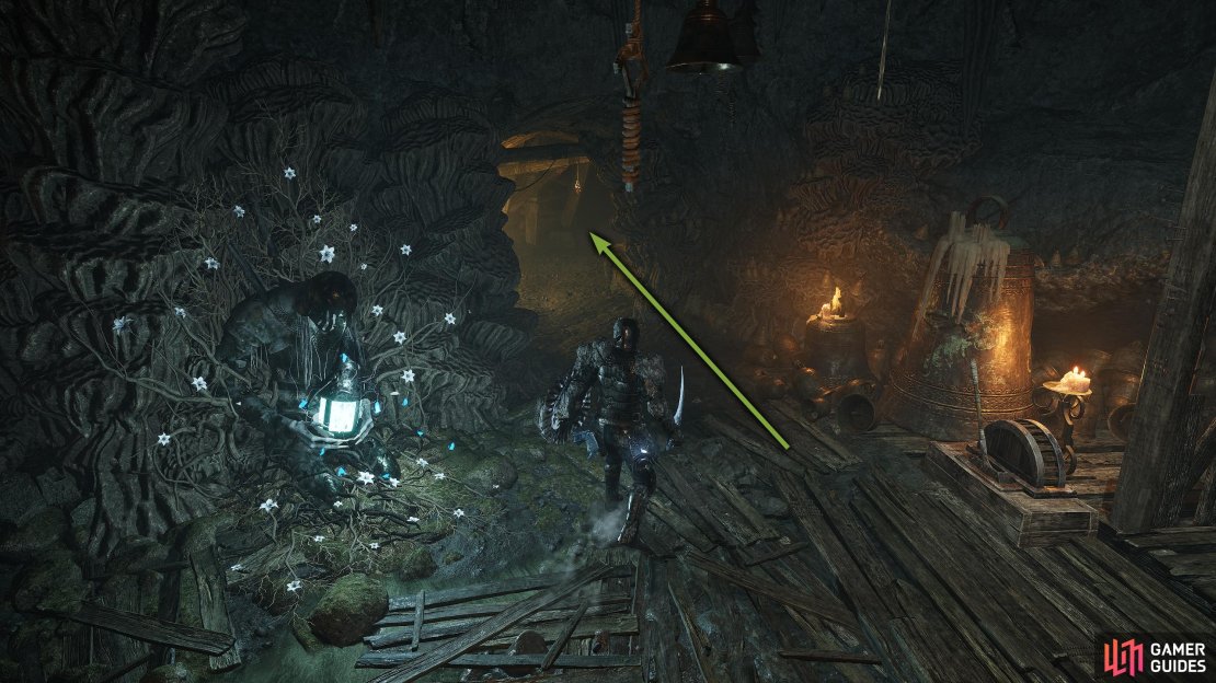 From the Blind Agatha Vestige, head through the cave until you reach some water on your right.