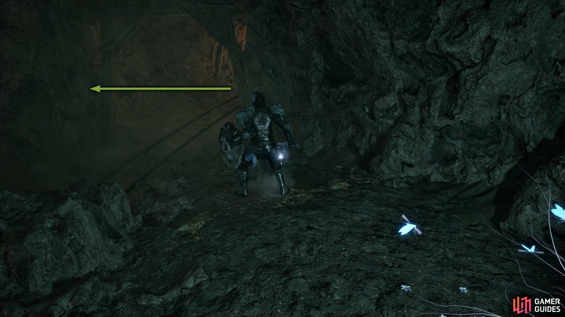 Warp to the Hooded Antuli Vestige and turn around. Now go up the tunnel to your left.