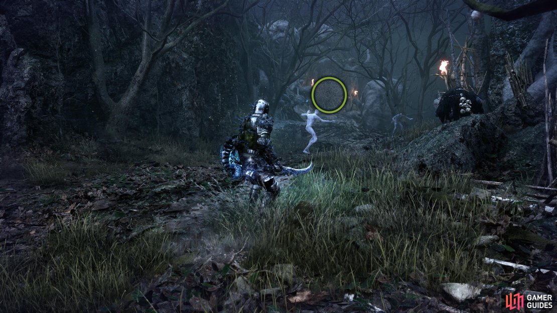 At the top of the hill, you&rsquo;ll find a door that you can Soul Flay open which will take you to the boss arena.