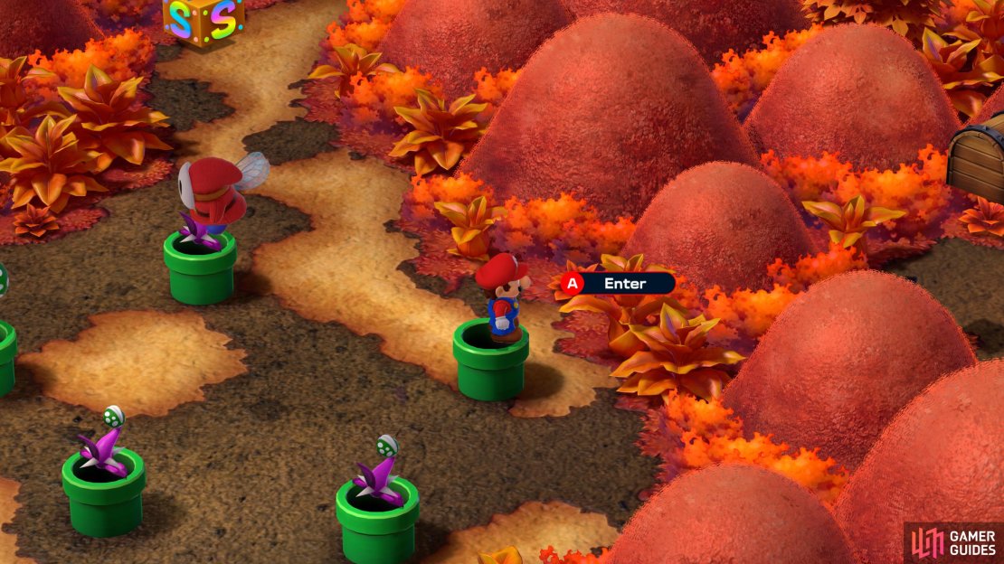 Hidden Treasure 2: Take the east pipe down to the next area.