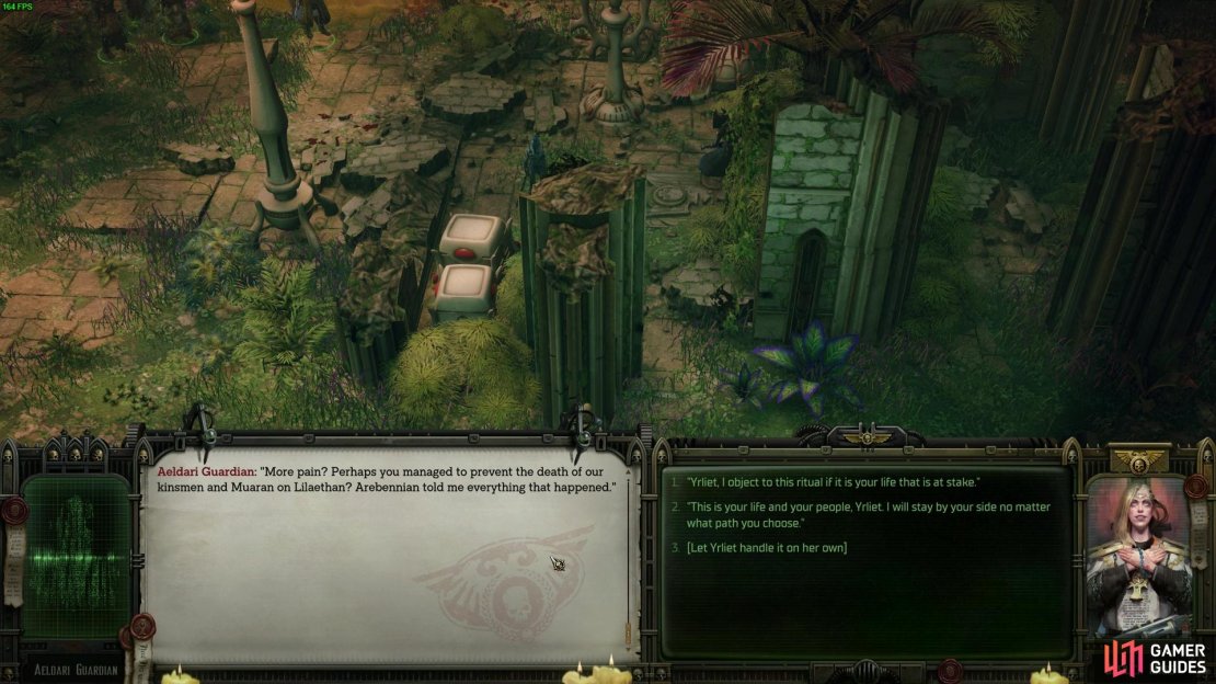 Make sure the ritual doesn&rsquo;t go ahead and stand by Yrliet.