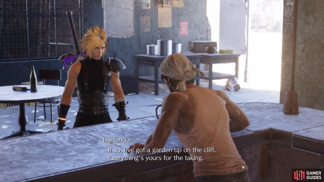Speak with the Bartender to get a key to his garden.