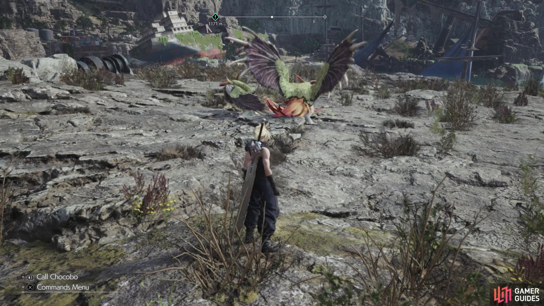 Zemzeletts aren&rsquo;t terribly rare, but you&rsquo;ll have to travel a bit to find them.