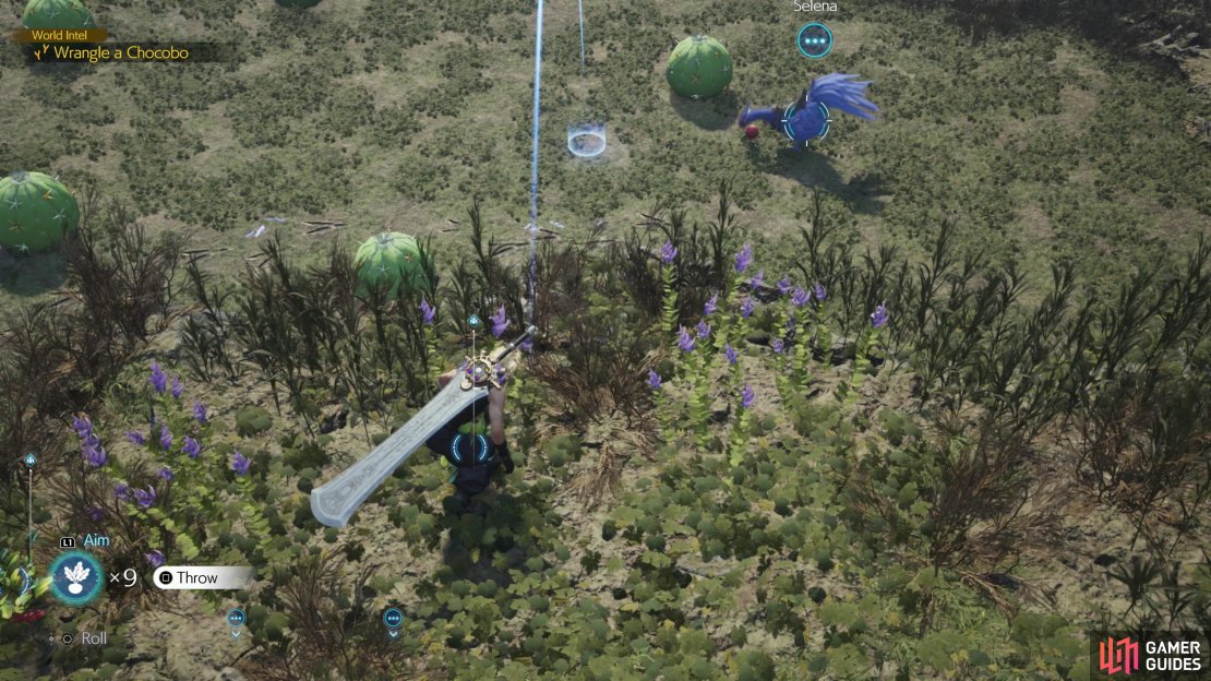 The entire goal of this minigame is to pick up Chocobo Bait and throwing it to lure Selena to the grass patch where you started, avoiding cacti in the process.