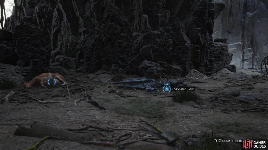 After defeating the Mystic Dragon you&rsquo;ll get two choices for Condor Food: Bovine Meat or Monster Flesh.