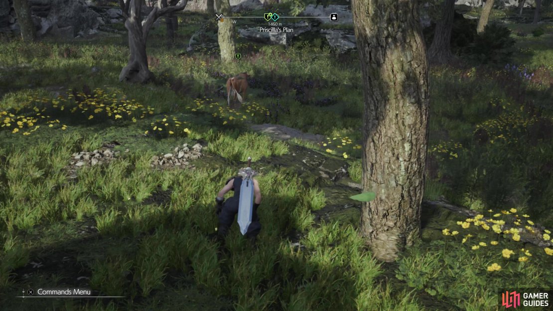 Try to sneak up on a cow, only to invariably fail,
