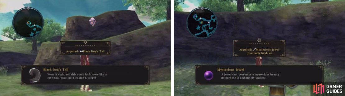 The Black Dog&rsquo;s Tail is in an Aifreads Treasure near a tunnel with another Mysterious Jewel.