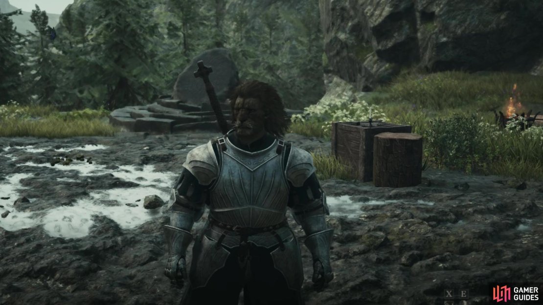This guide teaches you how to complete The Claw Them Into Shape quest in Dragon&rsquo;s Dogma 2.