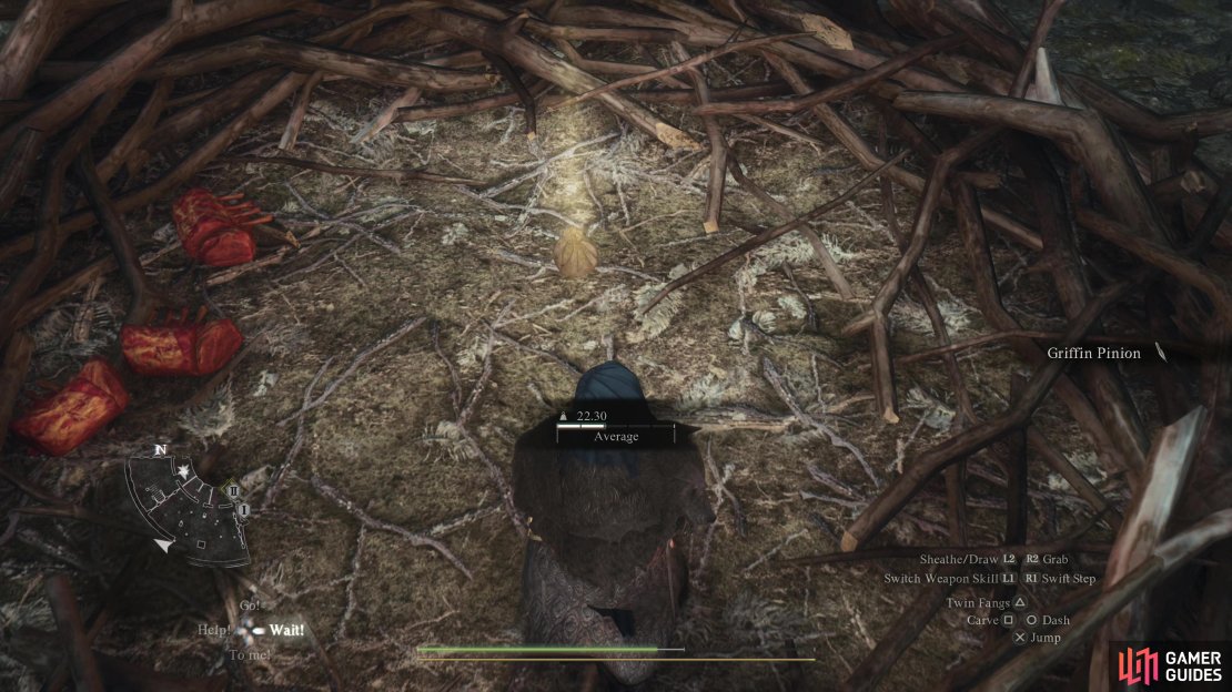 Loot the Griffin nest,