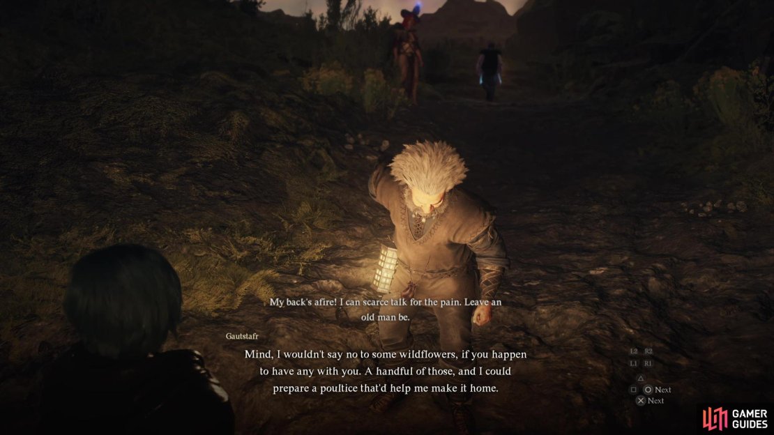 Along the western edge of the Agamen Volcanic Island you&rsquo;ll find the dwarf Gautstafr.