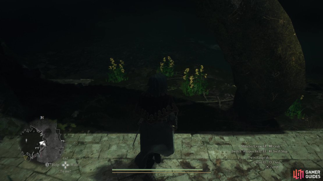 You can find Sunbloom (yellow) flowers outside of The Arborheart,