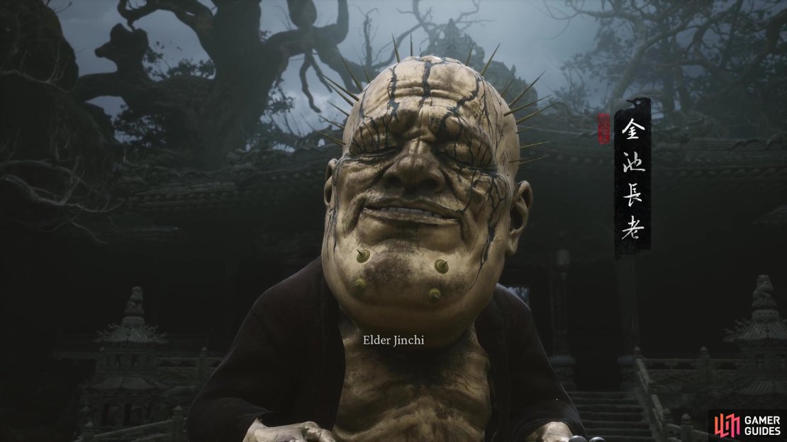 Elder Jinchi seems worried that you&rsquo;ve returned!