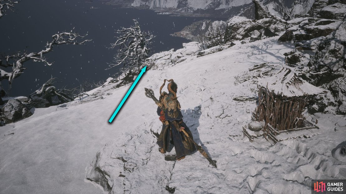 From the Shrine, turn the camera behind you and go down the slope.