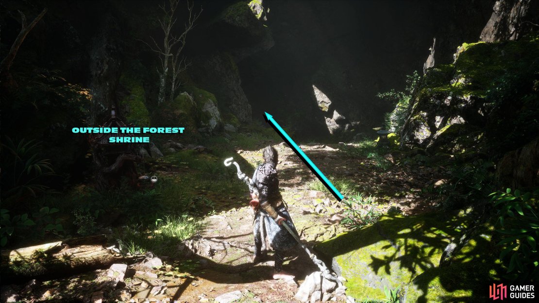 From the “Outside the Forest” Shrine, go back through the cave you came to get here.
