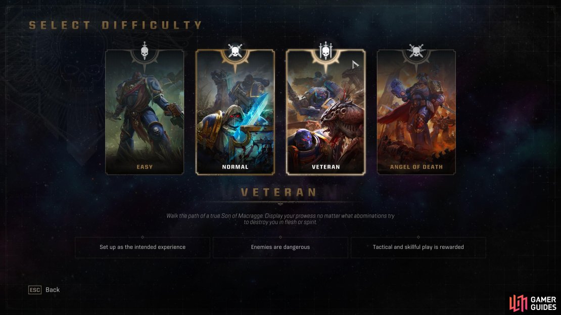 The &ldquo;intended experience&rdquo; for Space Marine 2, Veteran difficulty drops Armour even lower and reduces the potency of pickups.