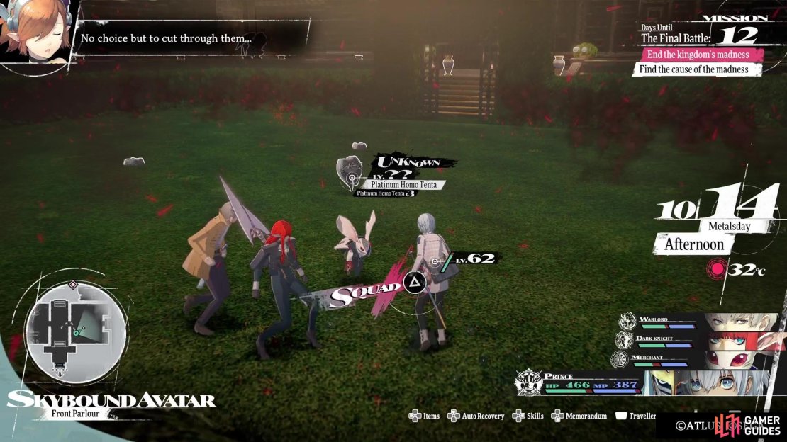 The Platinum Homo Tentas like to hide in the grassy areas.