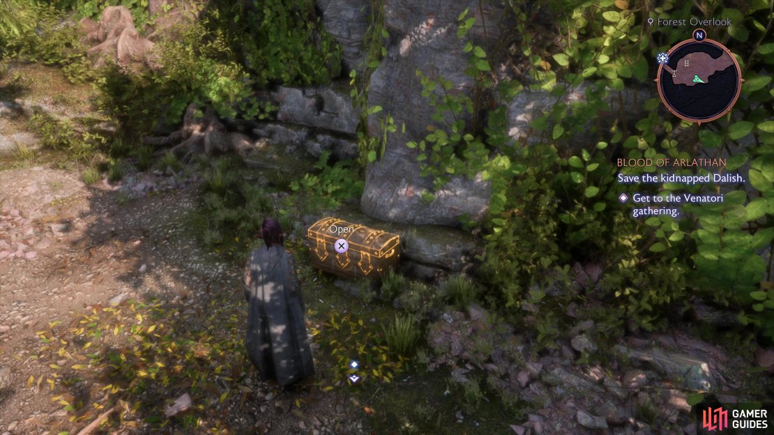 Climb a ladder near a zipline, then jump a gap to find this mission&rsquo;s first chest.