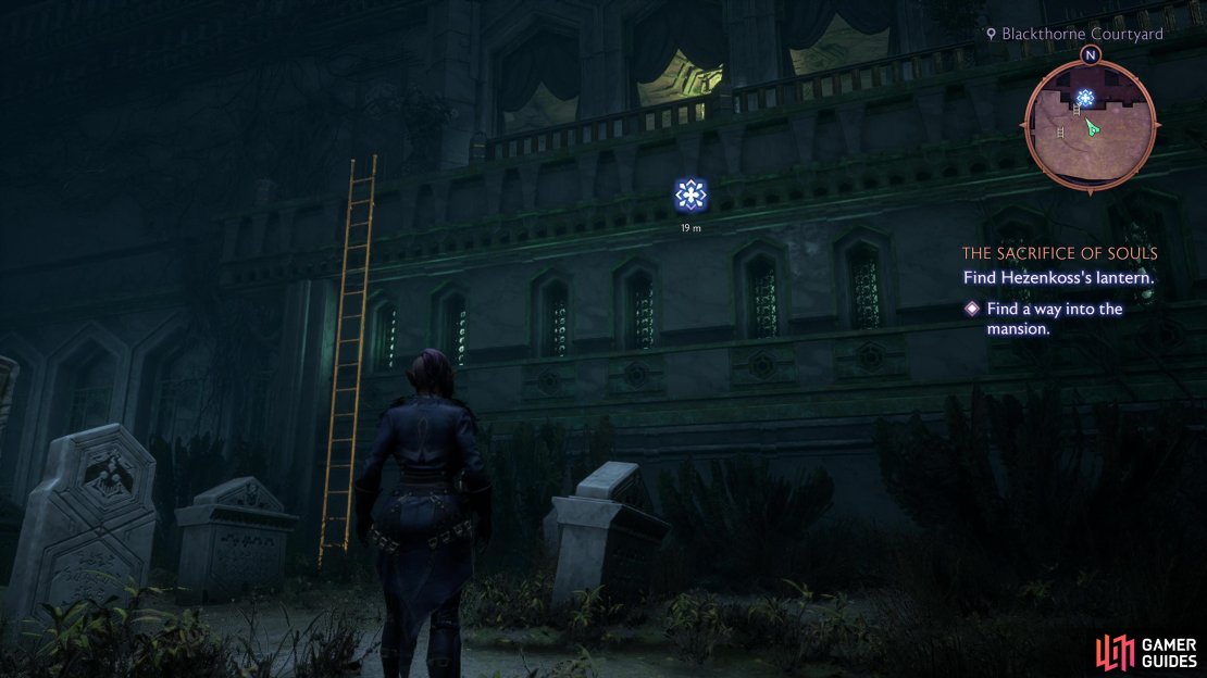 Find a ladder to the left of the main entrance,