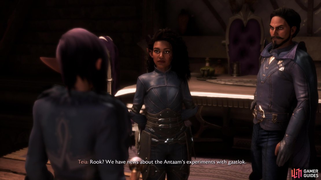 Talk to Teia and Viago after &ldquo;Bloodbath&rdquo; to start this quest back up.