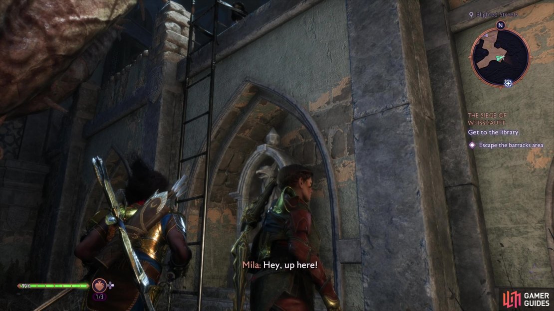 Wait for Mila to drop the ladder down 