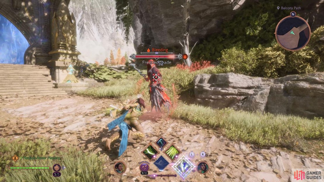 Defeat the Frenzied Shade, which is stronger than a regular demon.