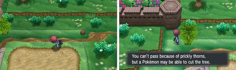 Jot down this item&rsquo;s location, because you need HM01 Cut to reach it.